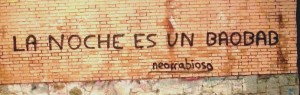 La noche es un baobab