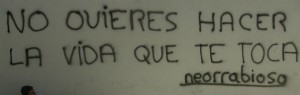 No-quieres-hacer-la-vida-que-te-toca2