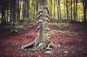 arbol verdadero Ibai Acevedo