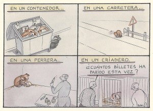Paco Catalán