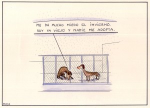 Paco Catalán