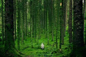La poda de Laura Beatty