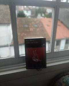 Leña menuda de Marta Barrio