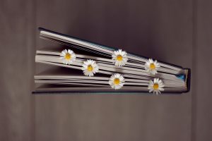 libros primavera 2022