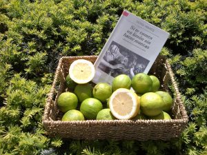 Libros para regalar por Sant Jordi 2022