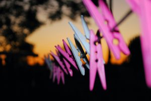 Hayley Clues en Unsplash