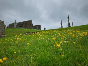 Flores extrañas