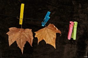 Mejores libros otoño 2023