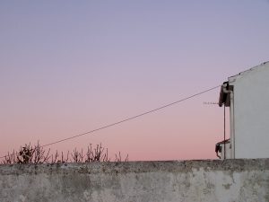 Reseña de Eloísa Vertical