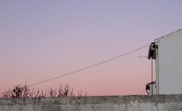Reseña de Eloísa Vertical