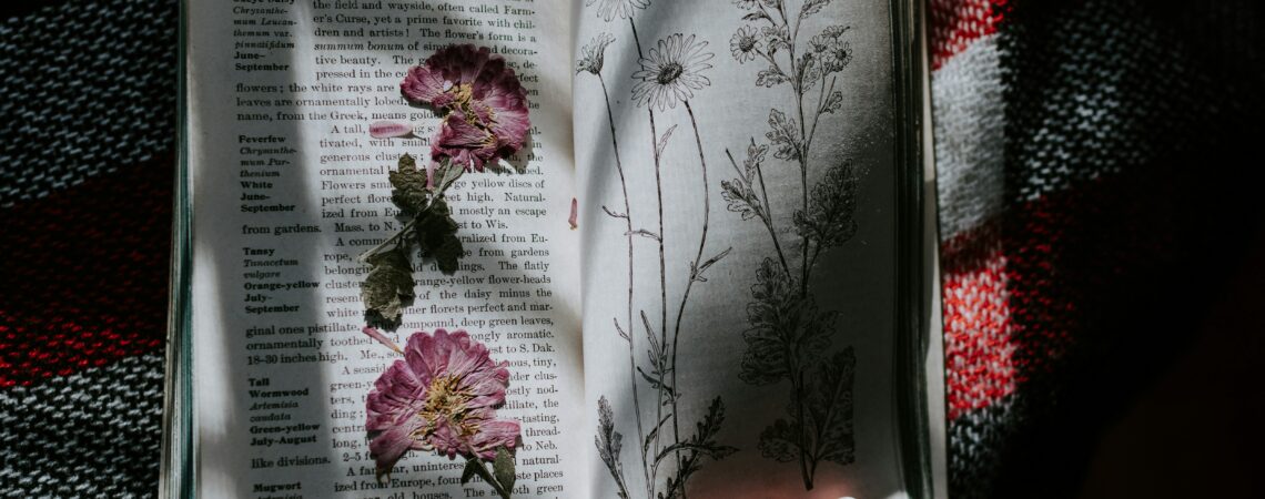 Mejores libros invierno 2025