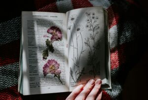 Mejores libros invierno 2025