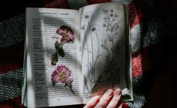 Mejores libros invierno 2025