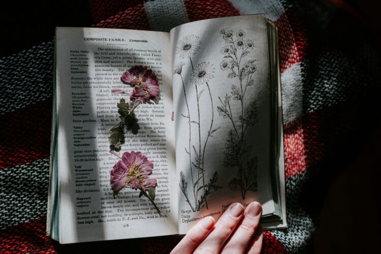 Mejores libros invierno 2025