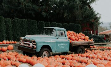 ¡Hola, querido otoño! 21 libros apetitosos para la rentrée